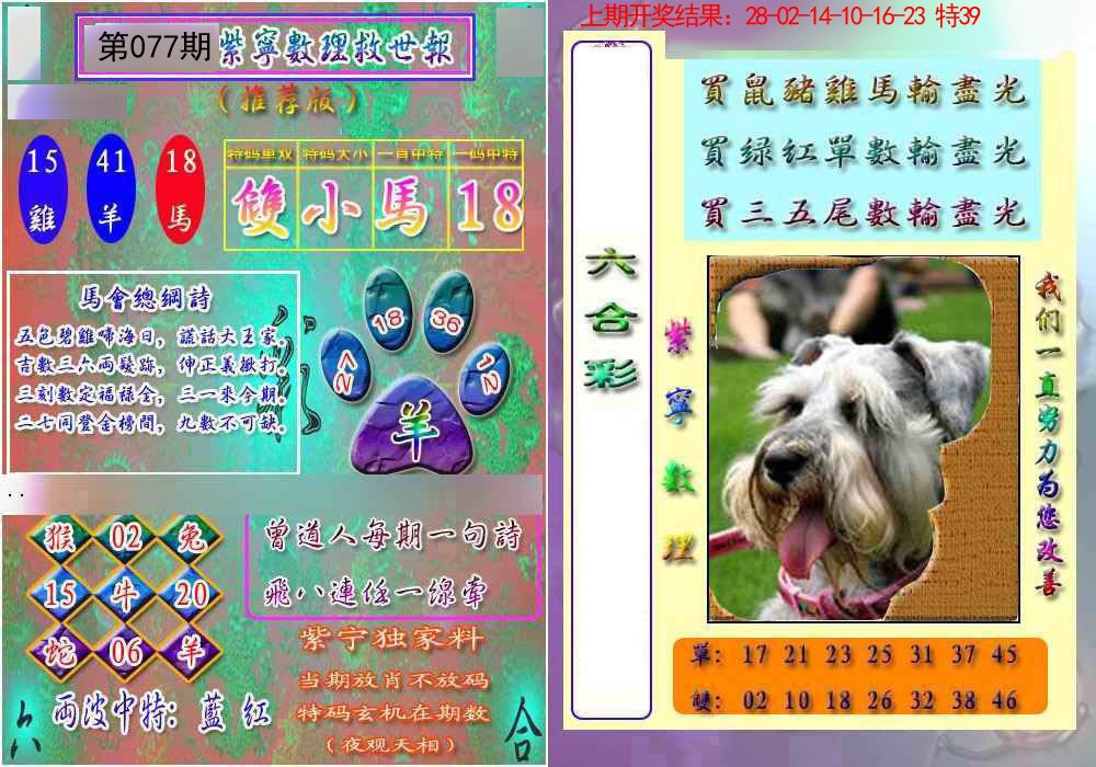 2025077期数理救世报