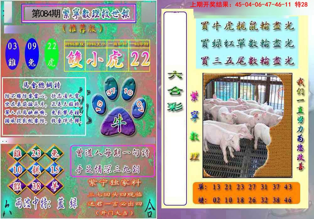 2025084期数理救世报