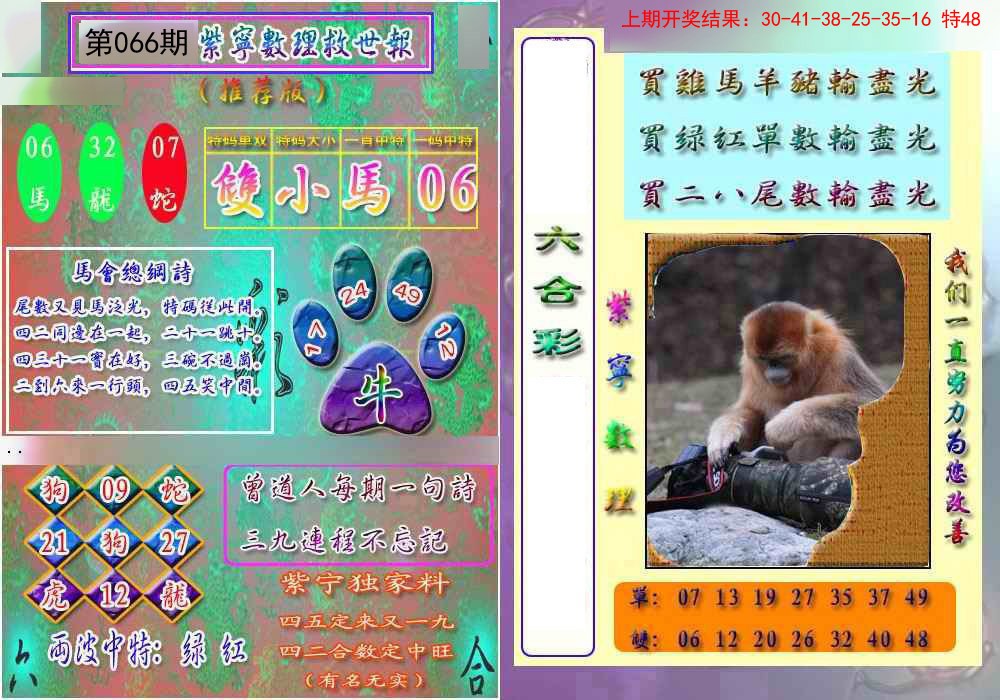 2025066期数理救世报