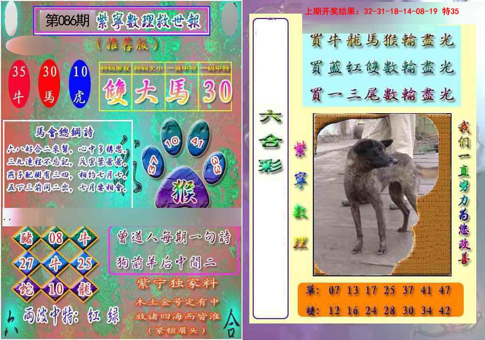 2025086期数理救世报