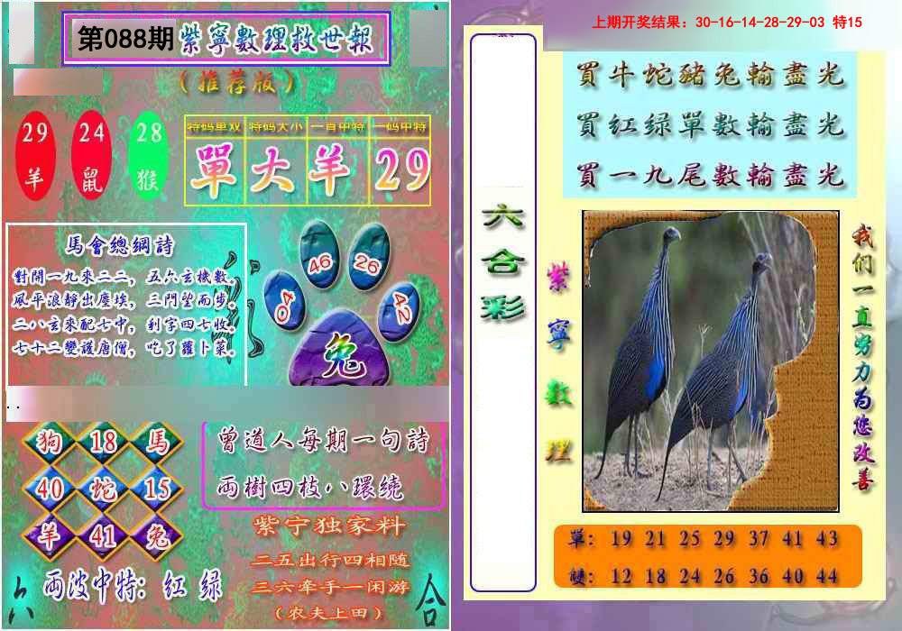 2025088期数理救世报