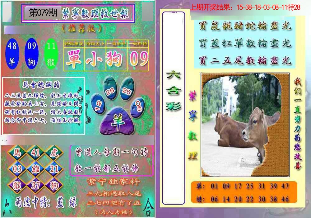 2025079期数理救世报