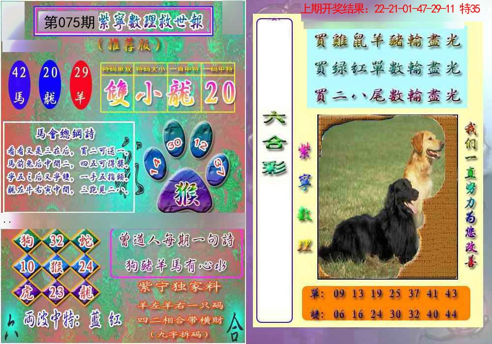 2025075期数理救世报