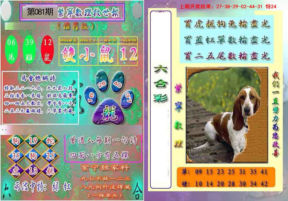 2025081期数理救世报