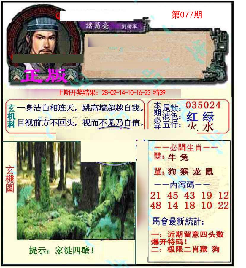 2025077期正宗孔明