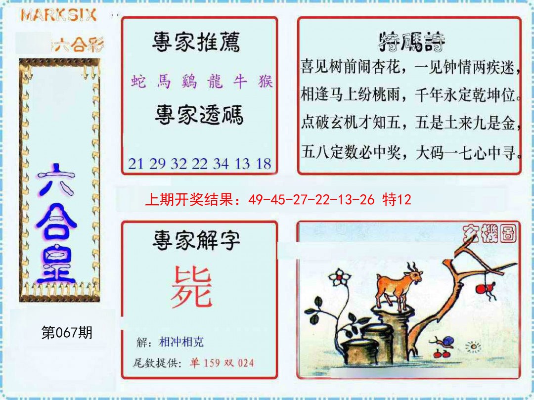 2025067期六合皇