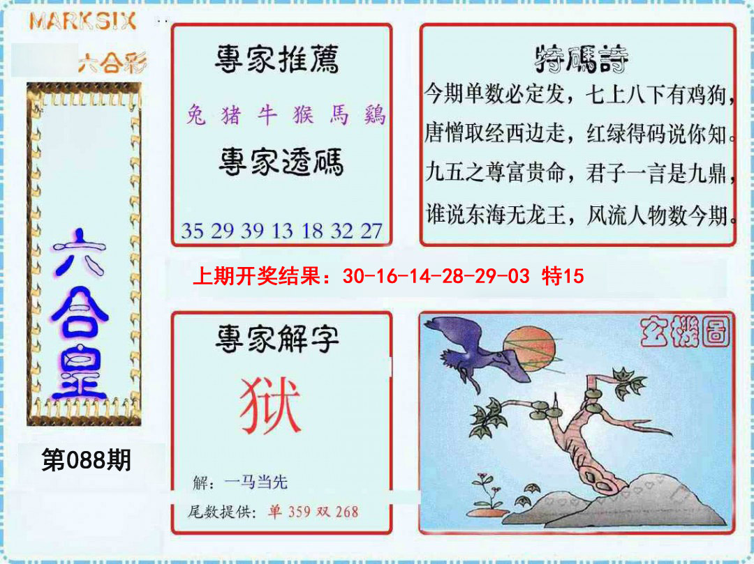 2025088期六合皇