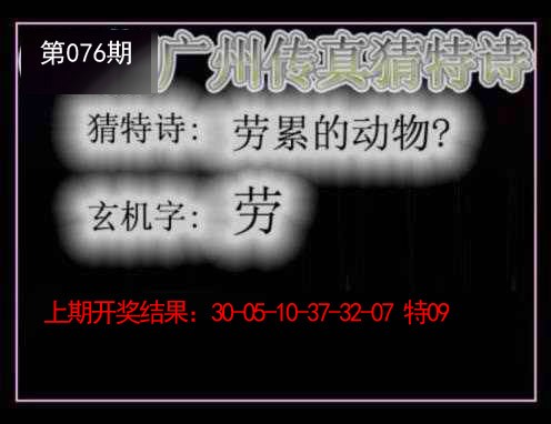 2025076期广州传真猜特诗