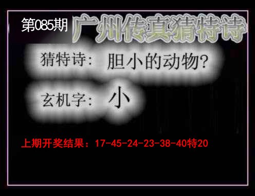 2025085期广州传真猜特诗