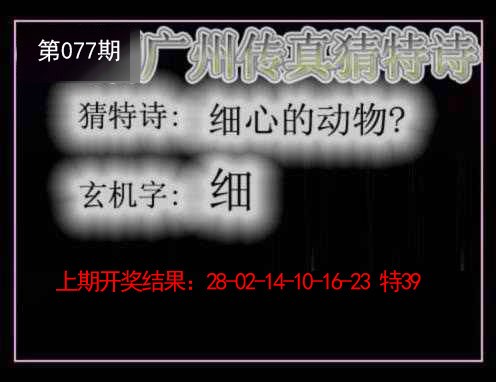 2025077期广州传真猜特诗