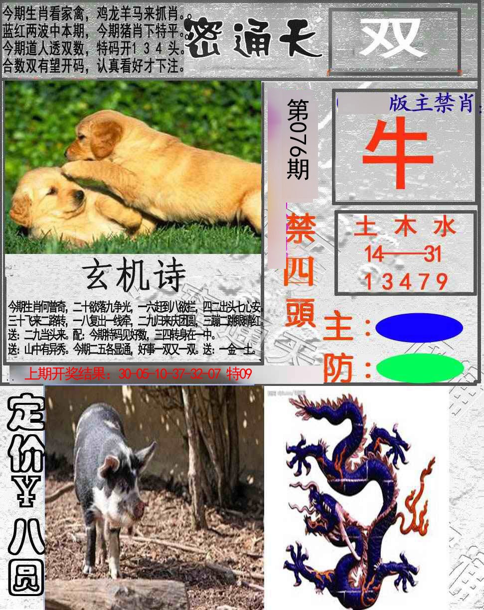 2025076期密通天