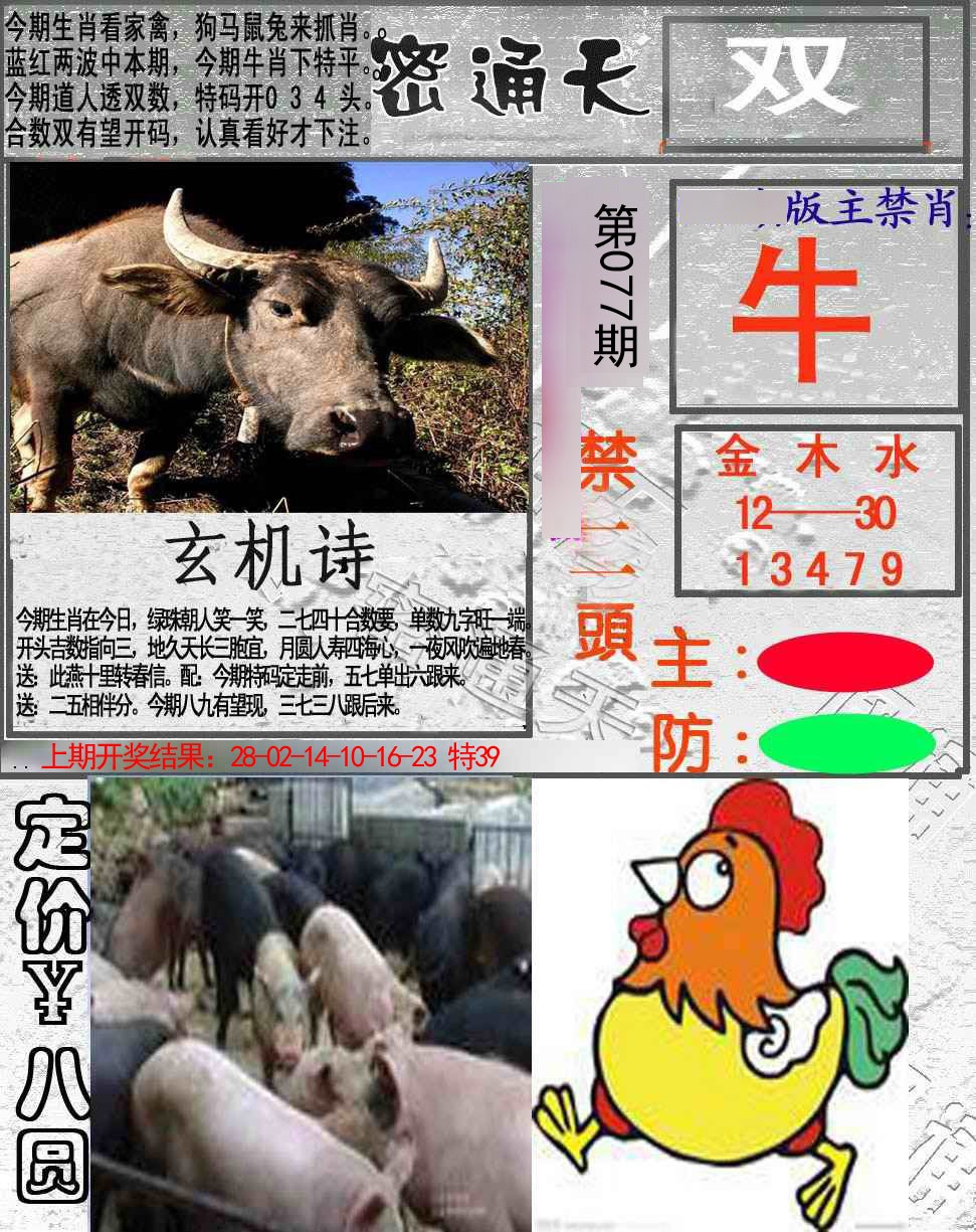 2025077期密通天