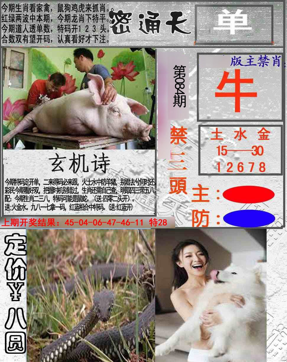 2025084期密通天