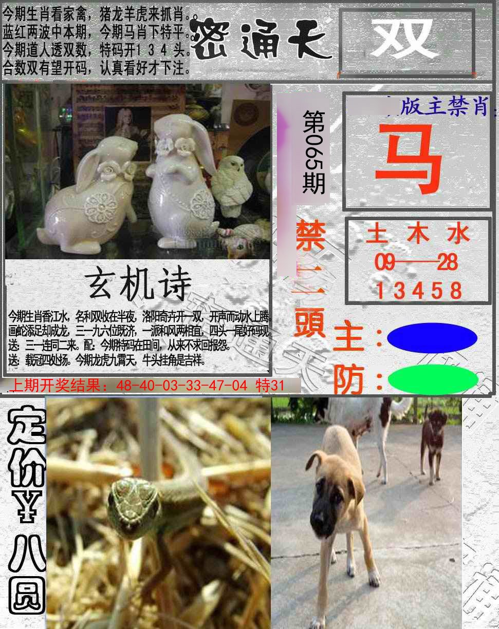 2025065期密通天