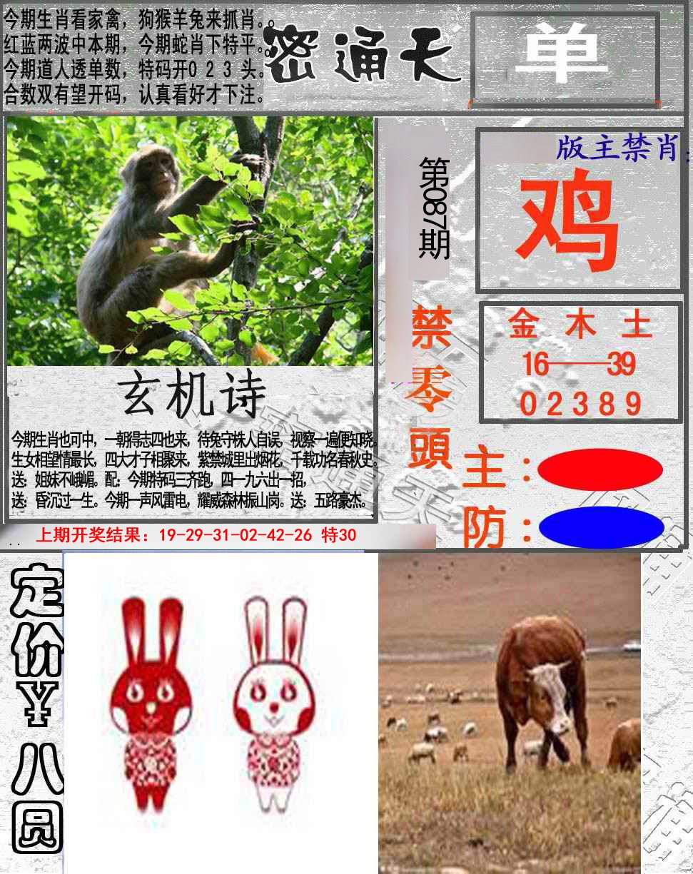 2025087期密通天