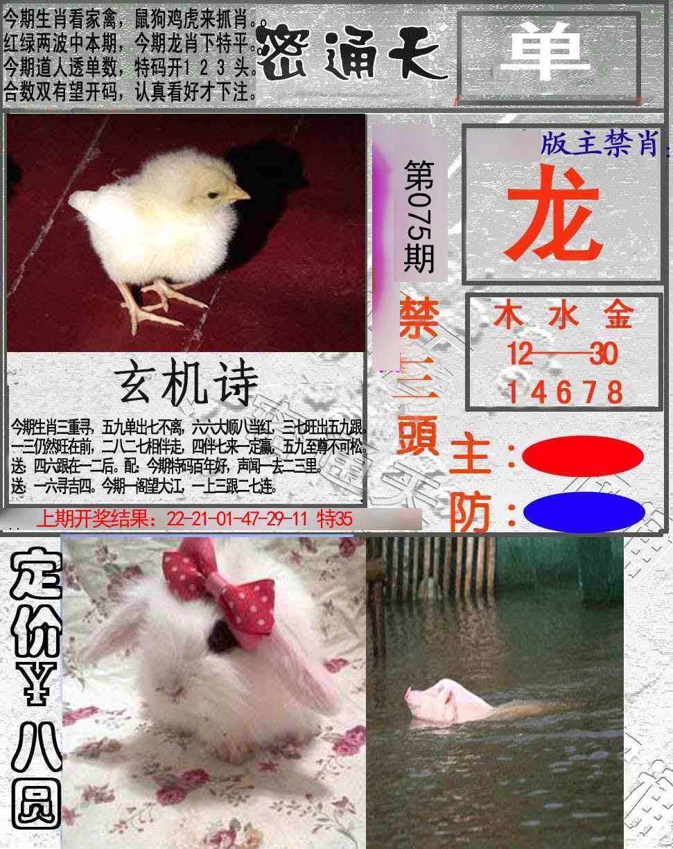 2025075期密通天