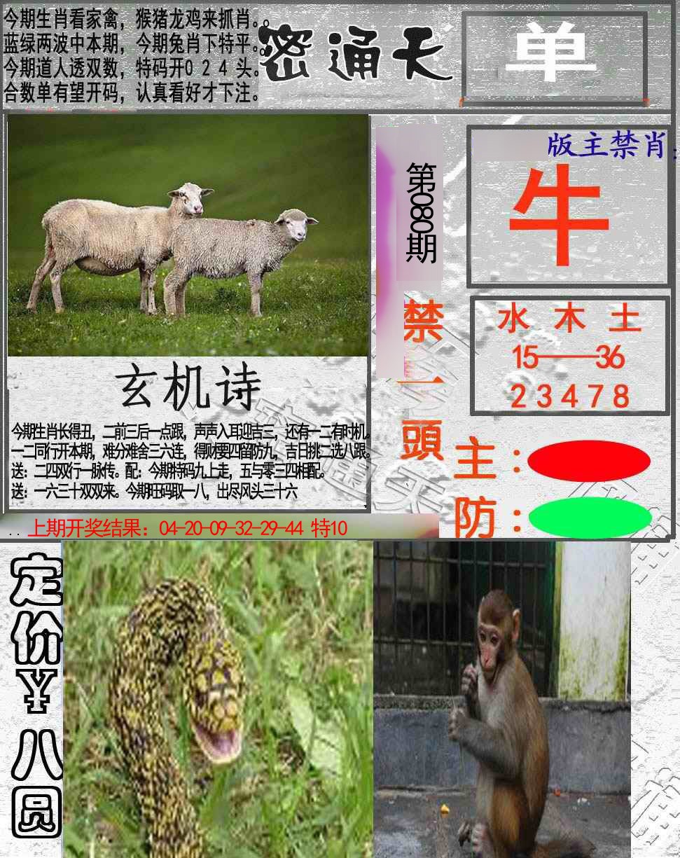 2025080期密通天