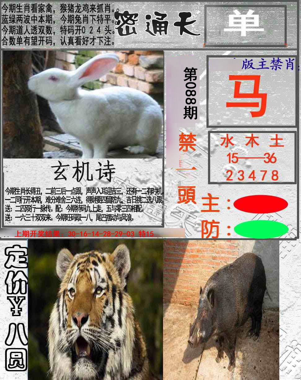 2025088期密通天
