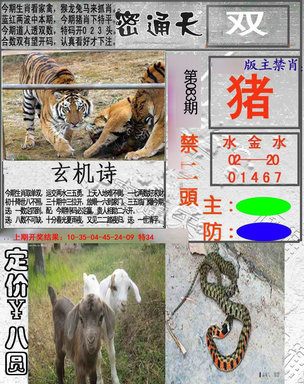 2025083期密通天