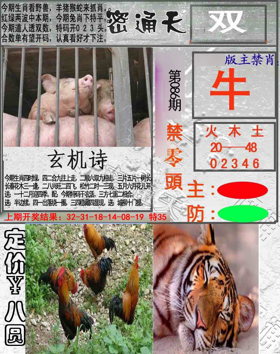 2025086期密通天