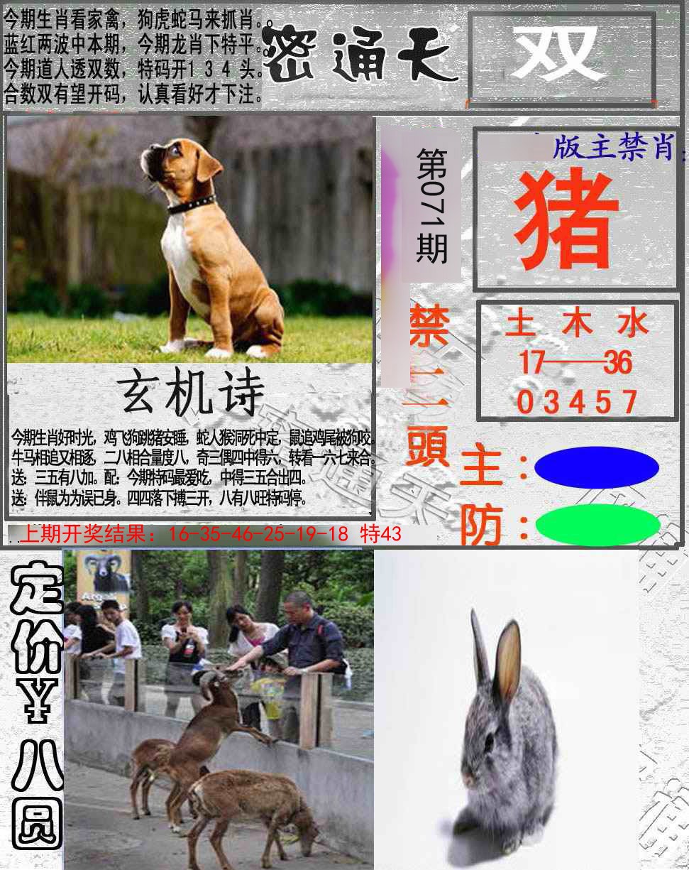 2025071期密通天