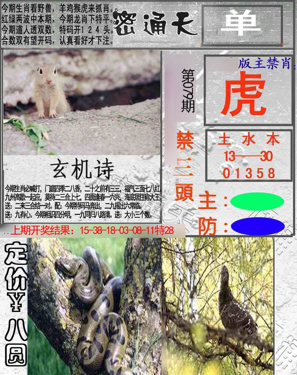 2025079期密通天