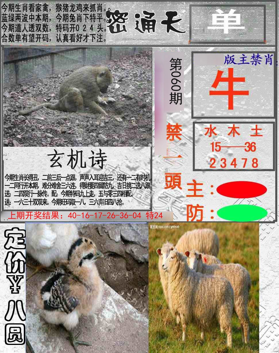 2025060期密通天
