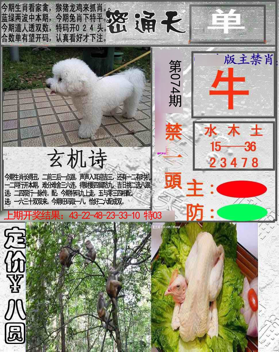 2025074期密通天