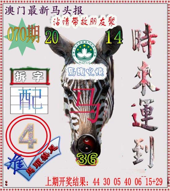2025070期马头报