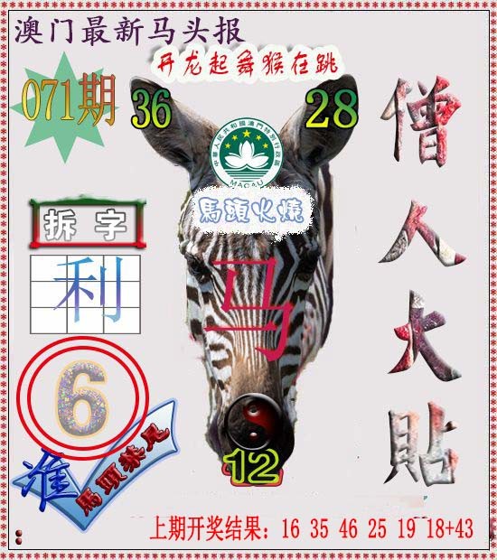 2025071期马头报