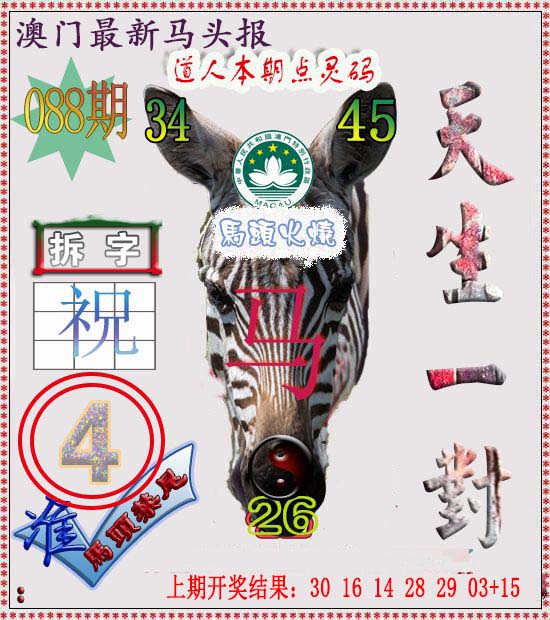 2025088期马头报