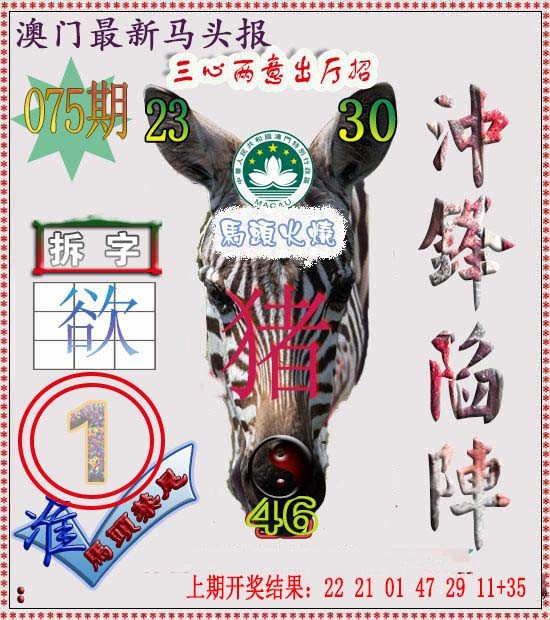 2025075期马头报
