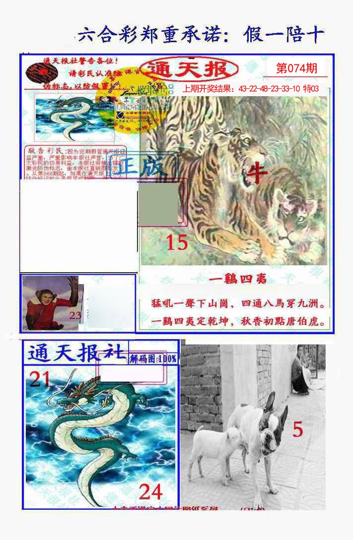 2025074期假一陪十通天报