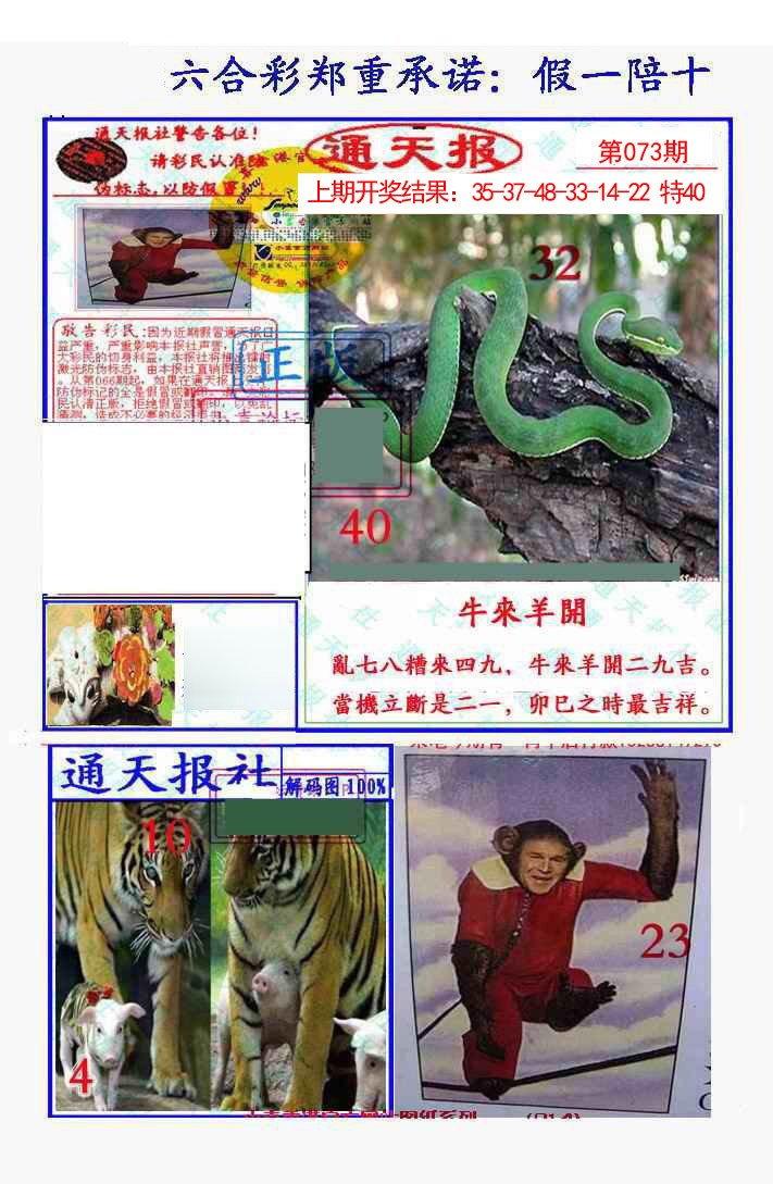 2025073期假一陪十通天报