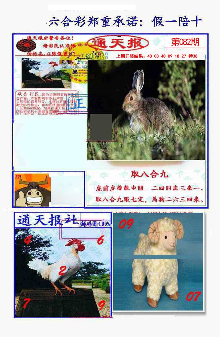 2025082期假一陪十通天报