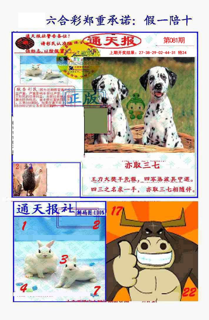 2025081期假一陪十通天报