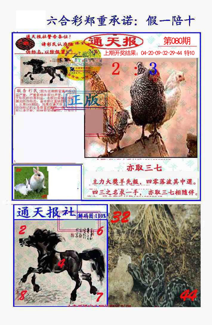 2025080期假一陪十通天报