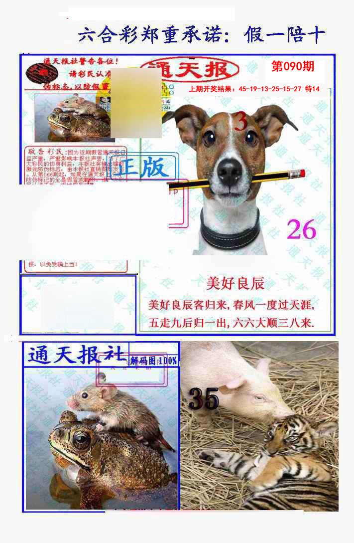 2025090期假一陪十通天报