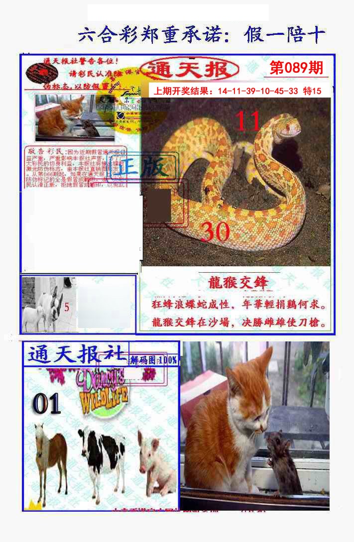 2025089期假一陪十通天报