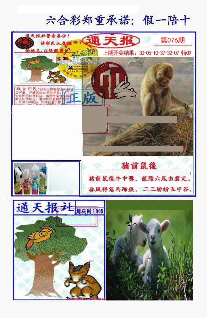 2025076期假一陪十通天报