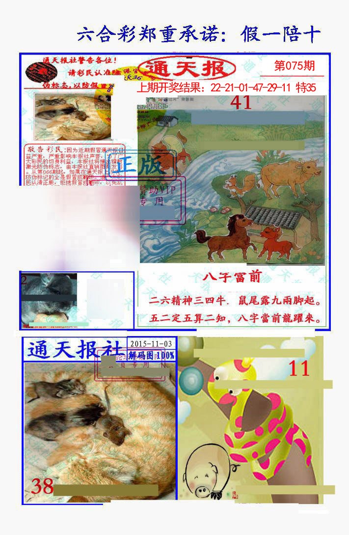 2025075期假一陪十通天报