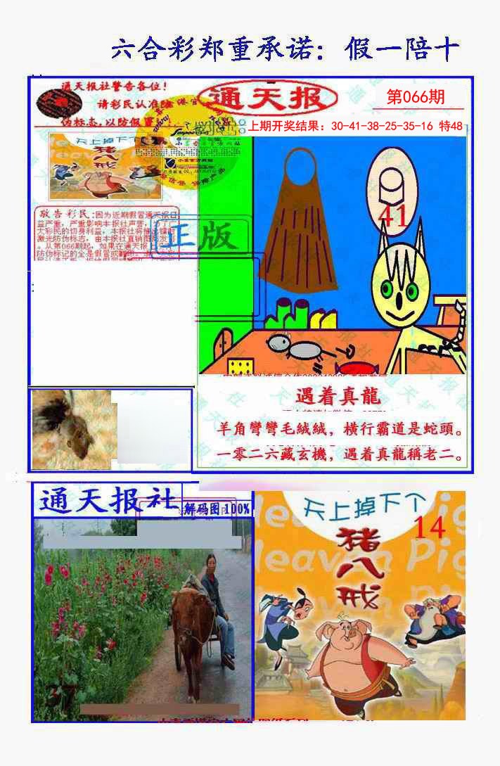 2025066期假一陪十通天报
