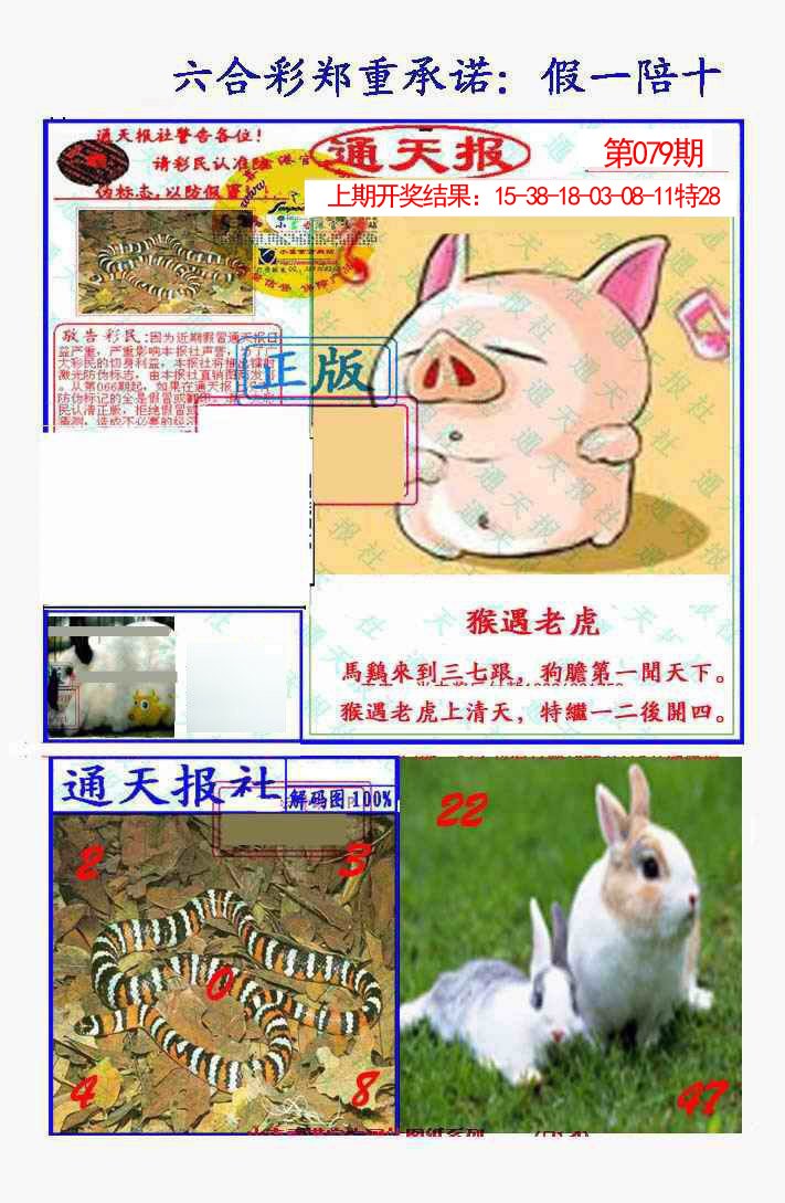 2025079期假一陪十通天报