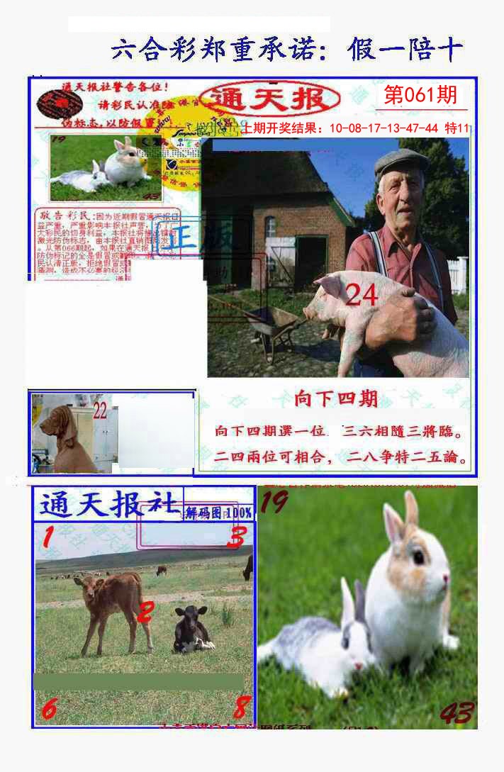 2025061期假一陪十通天报
