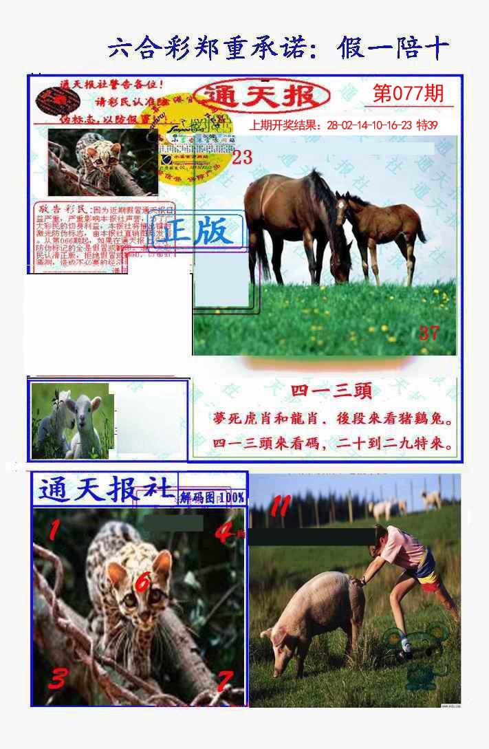 2025077期假一陪十通天报