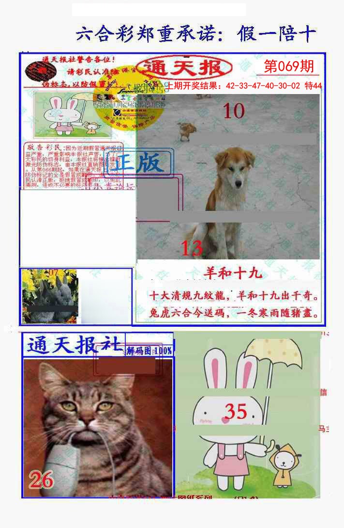 2025069期假一陪十通天报