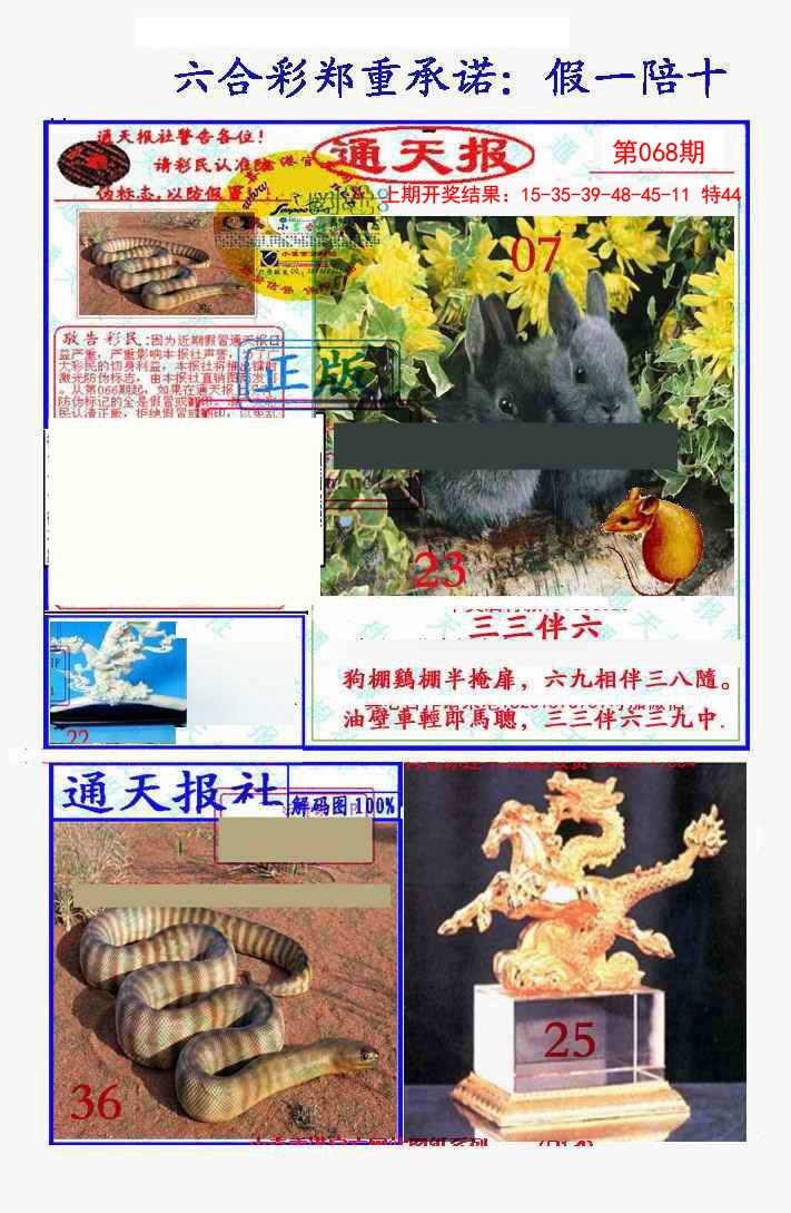 2025068期假一陪十通天报