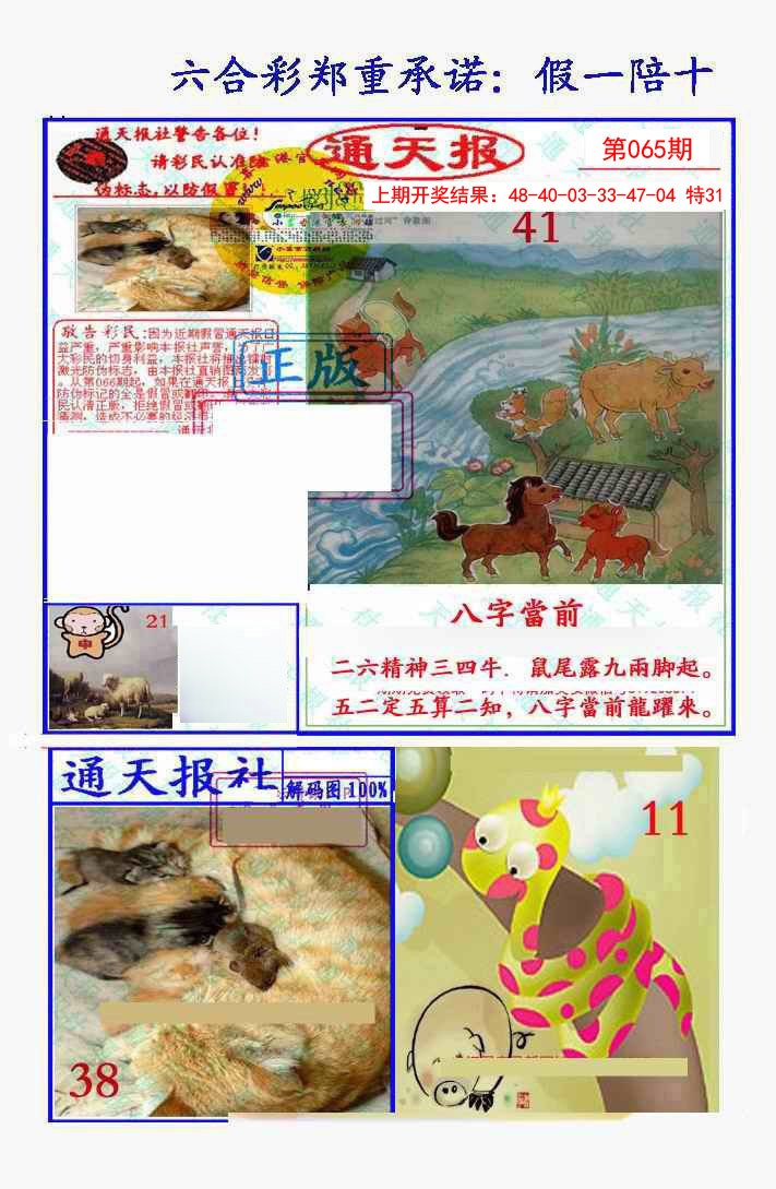 2025065期假一陪十通天报