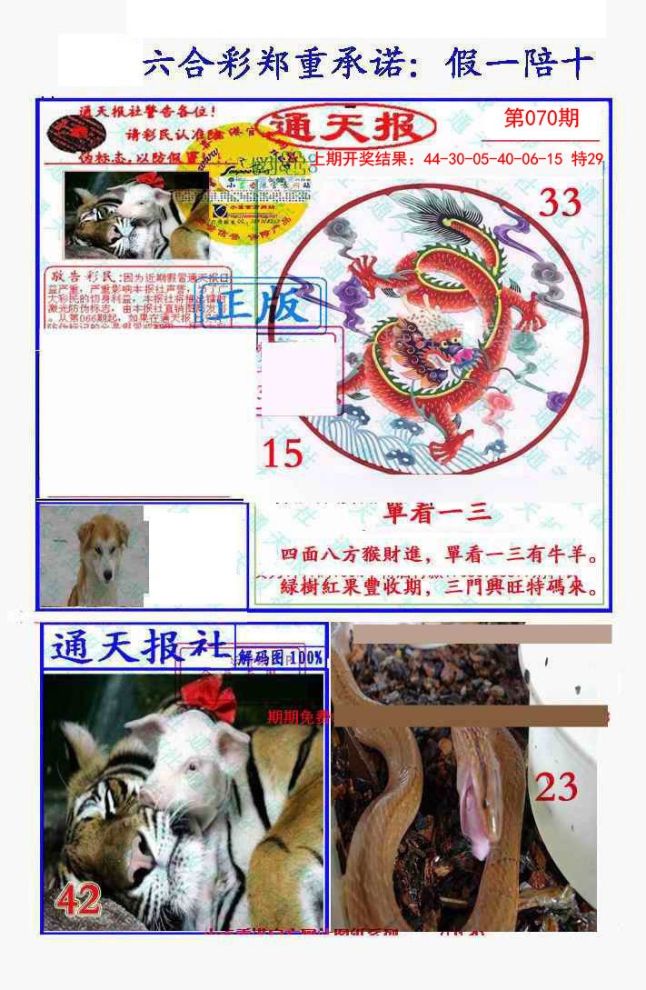 2025070期假一陪十通天报