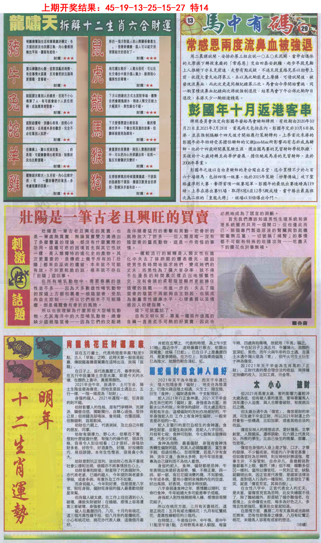 2025090期新报跑狗B